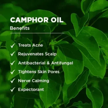 Camphor oil