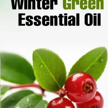 wintergreen oil