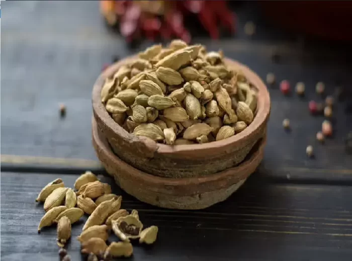 Fresh Cardamom ( Elaichi ) from Nelliyampathy Plantation- Kerala