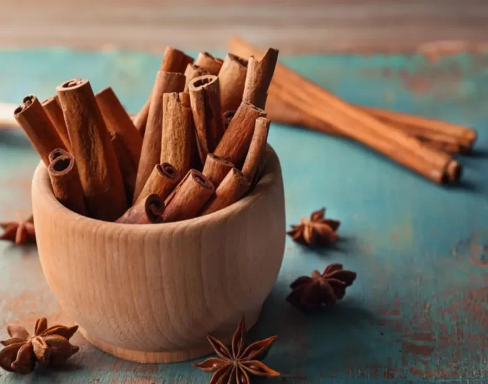 Cinnamom Stick from Nelliyampathy Plantation Kerala