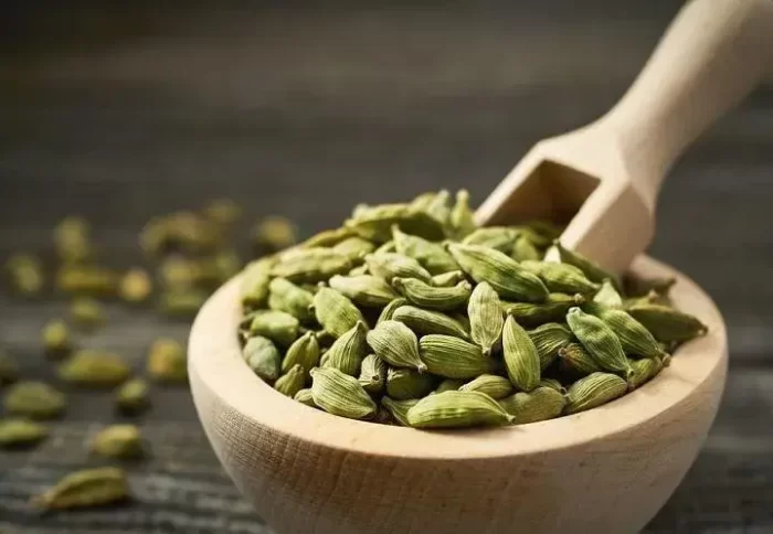 Fresh Green Cardamom ( Green Elaichi ) from Idukki Plantation Kerala - Excellent Quality