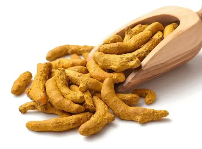 Fresh Turmeric Dry from Idukki Plantation Kerala