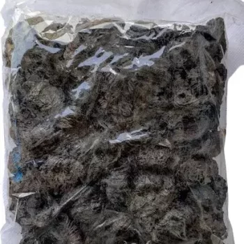 Nelliyampathy Dried Tamarind - (Kudampuli / Brindleberry / Fish Tamarind) 500Gm - Image 2