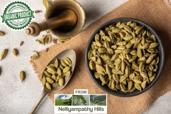 Organic Green Cardamom ( Elaichi ) from - Nelliyampathy Hills Kerala