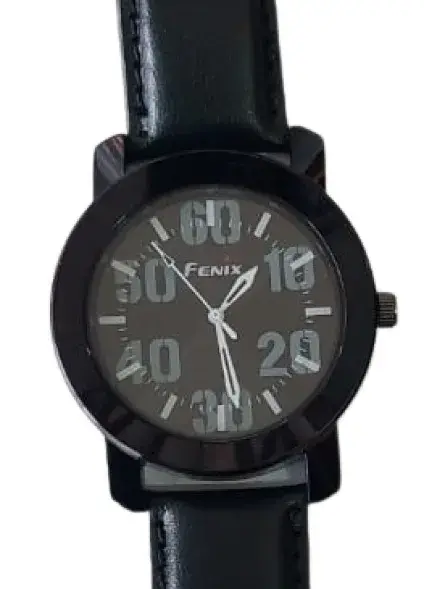 Fenix Analog Leather watch- Black Dial - Finebuy Online Shopping