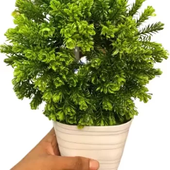 Artificial Plant for Home, Office Decor Ornamental Plant for Interior Decor / Home Decor / Office Décor (Medium Size Plant with Pot)