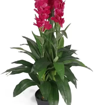 Interior Artificial plants living room decoration plastic plants house Orchid Plant for Home, Office Decor Ornamental Plant for Interior Decor / Home Décor / Office Décor (Large Size Plant with Pot )