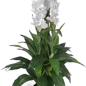 Interior Artificial plants living room decoration plastic plants house Orchid Plant for Home, Office Decor Ornamental Plant for Interior Decor / Home Décor / Office Décor (Large Size Plant with Pot )