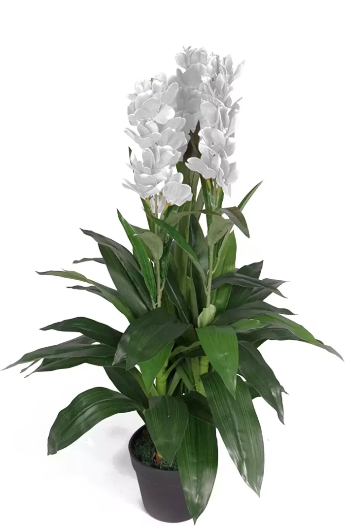 Interior Artificial plants living room decoration plastic plants house Orchid Plant for Home, Office Decor Ornamental Plant for Interior Decor / Home Décor / Office Décor (Large Size Plant with Pot )