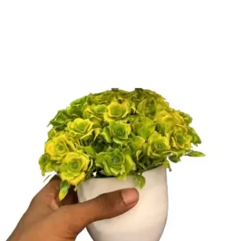 Artificial Plant for Home, Office Decor Ornamental Plant for Interior Decor / Home Decor / Office Décor (Small Size Plant with Pot)