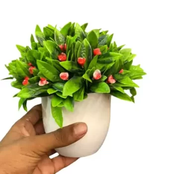 Artificial Plant for Home, Office Decor Ornamental Plant for Interior Decor / Home Decor / Office Décor (Small Size Plant with Pot)