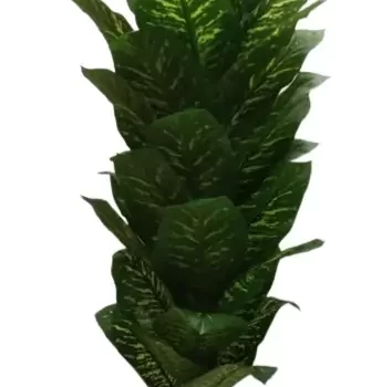 Interior Artificial plants living room decoration plastic plants house bonsai Plant for Home, Office Decor Ornamental Plant for Interior Decor / Home Decor / Office Décor (Large Size Plant with Pot )