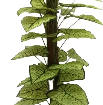 Interior Artificial plants living room decoration plastic plants house bonsai Plant for Home, Office Decor Ornamental Plant for Interior Decor / Home Decor / Office Décor (Large Size Plant with Pot )