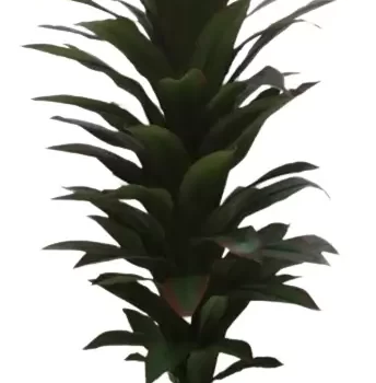 Interior Artificial plants living room decoration plastic plants house bonsai Plant for Home, Office Decor Ornamental Plant for Interior Decor / Home Decor / Office Décor (Large Size Plant with Pot )