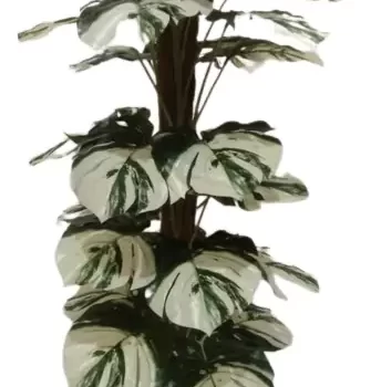 Interior Artificial plants living room decoration plastic plants house bonsai Plant for Home, Office Decor Ornamental Plant for Interior Decor / Home Decor / Office Décor (Large Size Plant with Pot )