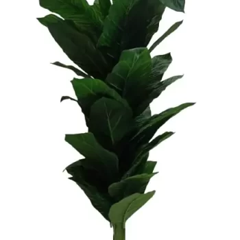 Interior Artificial plants living room decoration plastic plants house bonsai Plant for Home, Office Decor Ornamental Plant for Interior Decor / Home Decor / Office Décor (Large Size Plant with Pot )