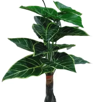 TIED RIBBONS Artificial Tree Tropical Plant for Indoor Living Room Corner Home Décoration and Diwali Décor Wild Artificial Plant  (85 cm, Multicolor)