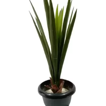 TIED RIBBONS Artificial Tree Tropical Plant for Indoor Living Room Corner Home Décoration and Diwali Décor Wild Artificial Plant  (85 cm, Multicolor)