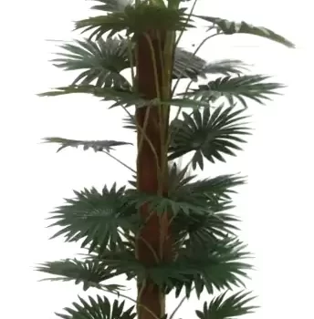 Interior Artificial plants living room decoration plastic plants house bonsai Plant for Home, Office Decor Ornamental Plant for Interior Decor / Home Décor / Office Décor (Large Size Plant with Pot )