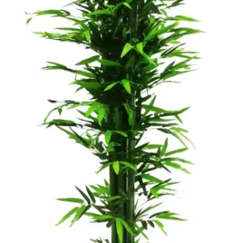 Interior Artificial plants living room decoration plastic plants house bonsai Plant for Home, Office Decor Ornamental Plant for Interior Decor / Home Decor / Office Décor (180 cm Large Size Plant with Pot )