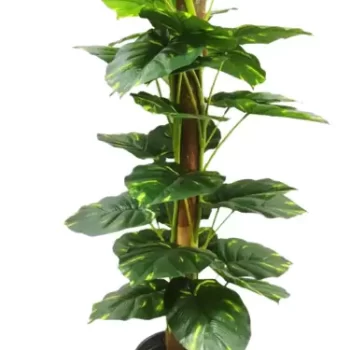 Interior Artificial plants living room decoration plastic plants house bonsai Plant for Home, Office Decor Ornamental Plant for Interior Decor / Home Decor / Office Décor (Large Size Plant with Pot )