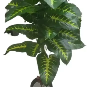 Interior Artificial plants living room decoration plastic plants house Plant for Home, Office Decor Ornamental Plant for Interior Decor / Home Décor / Office Décor (Large Size Plant with Pot )