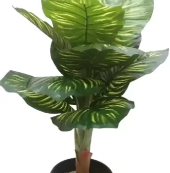 Interior Artificial plants living room decoration plastic plants house Plant for Home, Office Decor Ornamental Plant for Interior Decor / Home Décor / Office Décor (Large Size Plant With Pot )