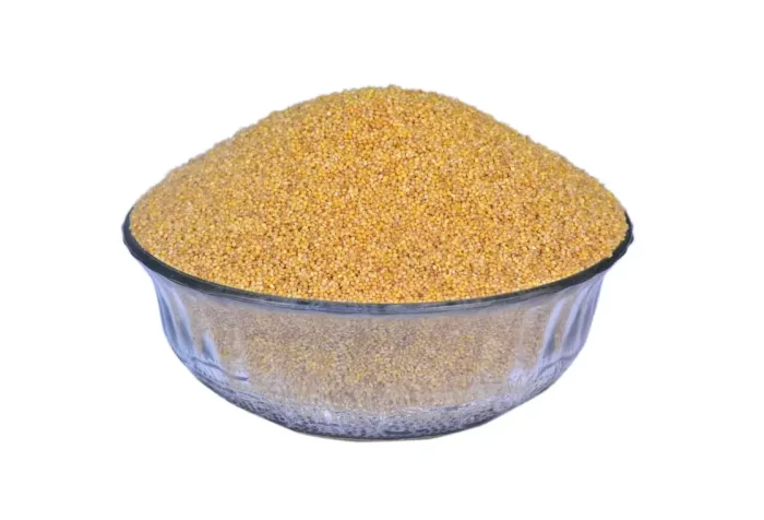 Foxtail Millet