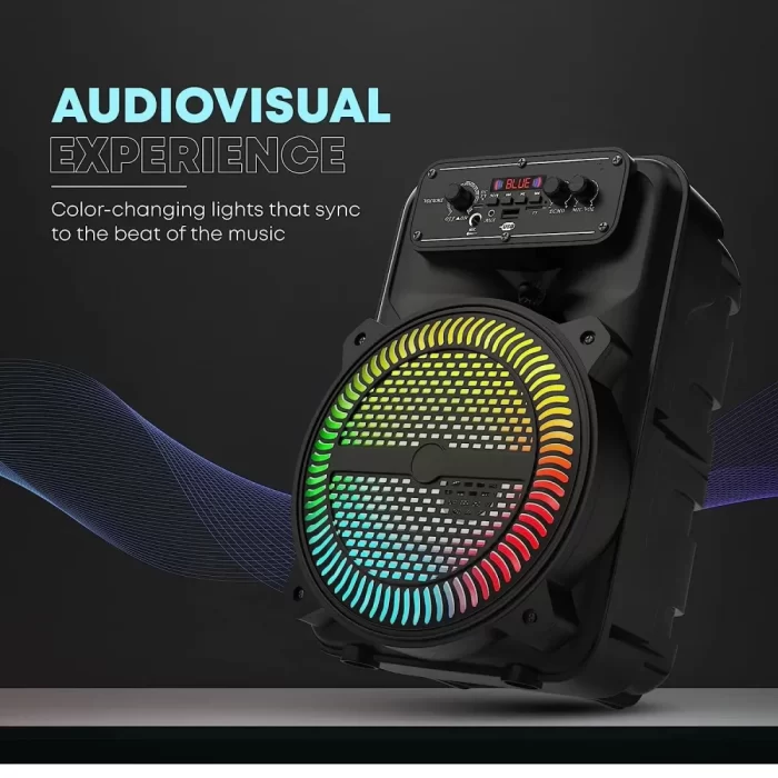Portable Speaker with mic