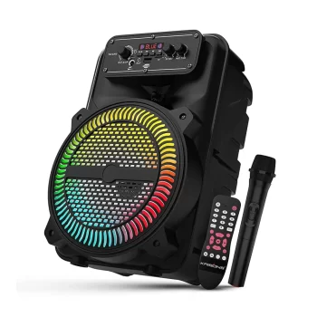 Portable speaker with mic