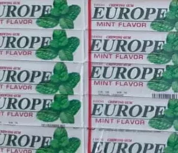 SANFAJ Europe Chewing Gum- Mint Flavour ( 20 pieces, 240grm)- Imported Product
