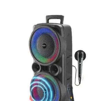 Bluetooth Speaker Dynamic Thunder Sound with wireless Bluetooth Party Speaker (Black, Stereo Channel) with 2 mic ( one wireless mic and one wired mic )