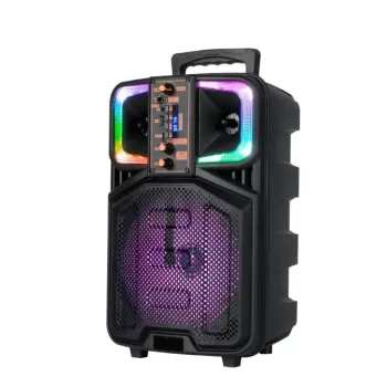 Loudspeaker