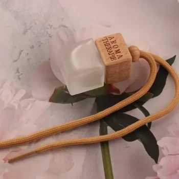 Best car Perfume