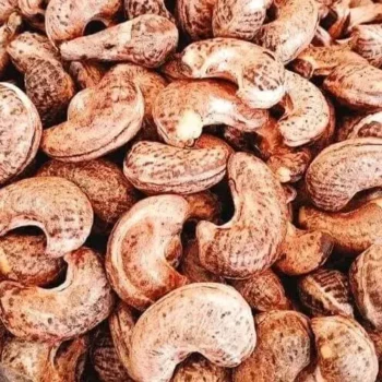 goan cashew nut