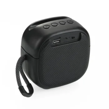 karoke speaker