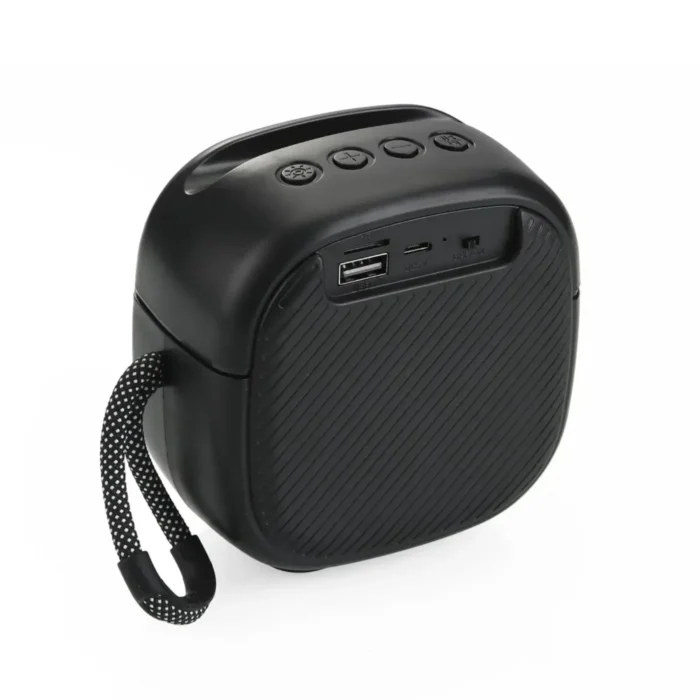 karoke speaker