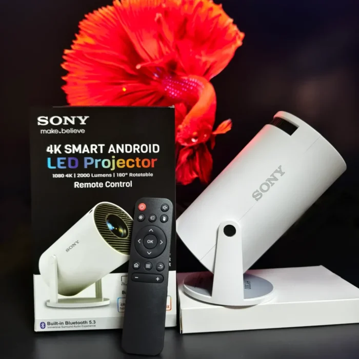 Sony Projector