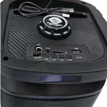 Wireless mic with speaker