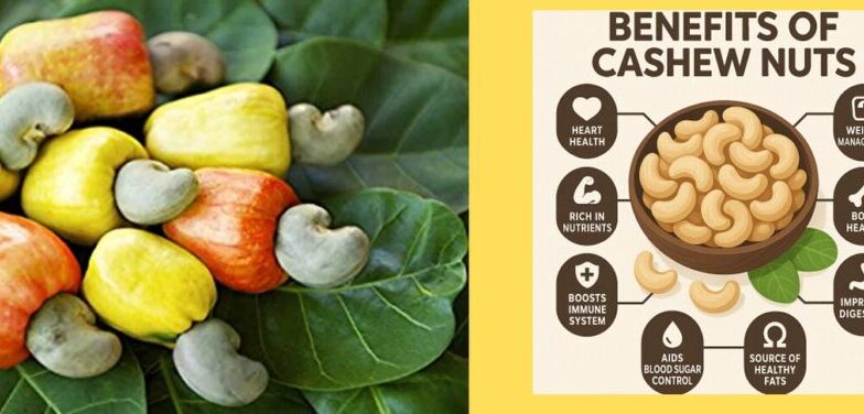 Benefits of Cashew Nuts
