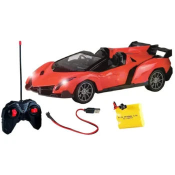 RC remote control car
