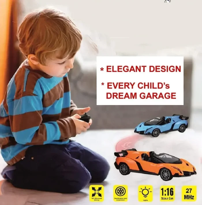 RC remote control car